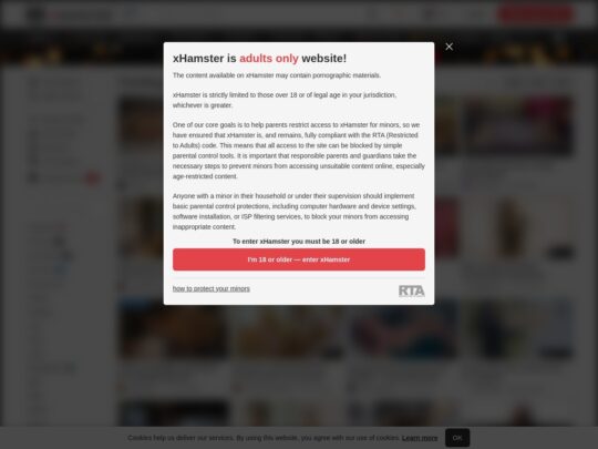XHamster Review